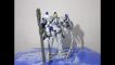 Mô Hình Lắp Ráp Gundam MG 6634 Tallgeese III (Daban)