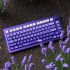 Hotswap là gì? Cùng tìm hiểu với Shopkeycap nhé