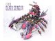 Mô Hình Lắp Ráp ZOIDS Death Stinger tỉ lệ 1/72 (Supernova TQ)